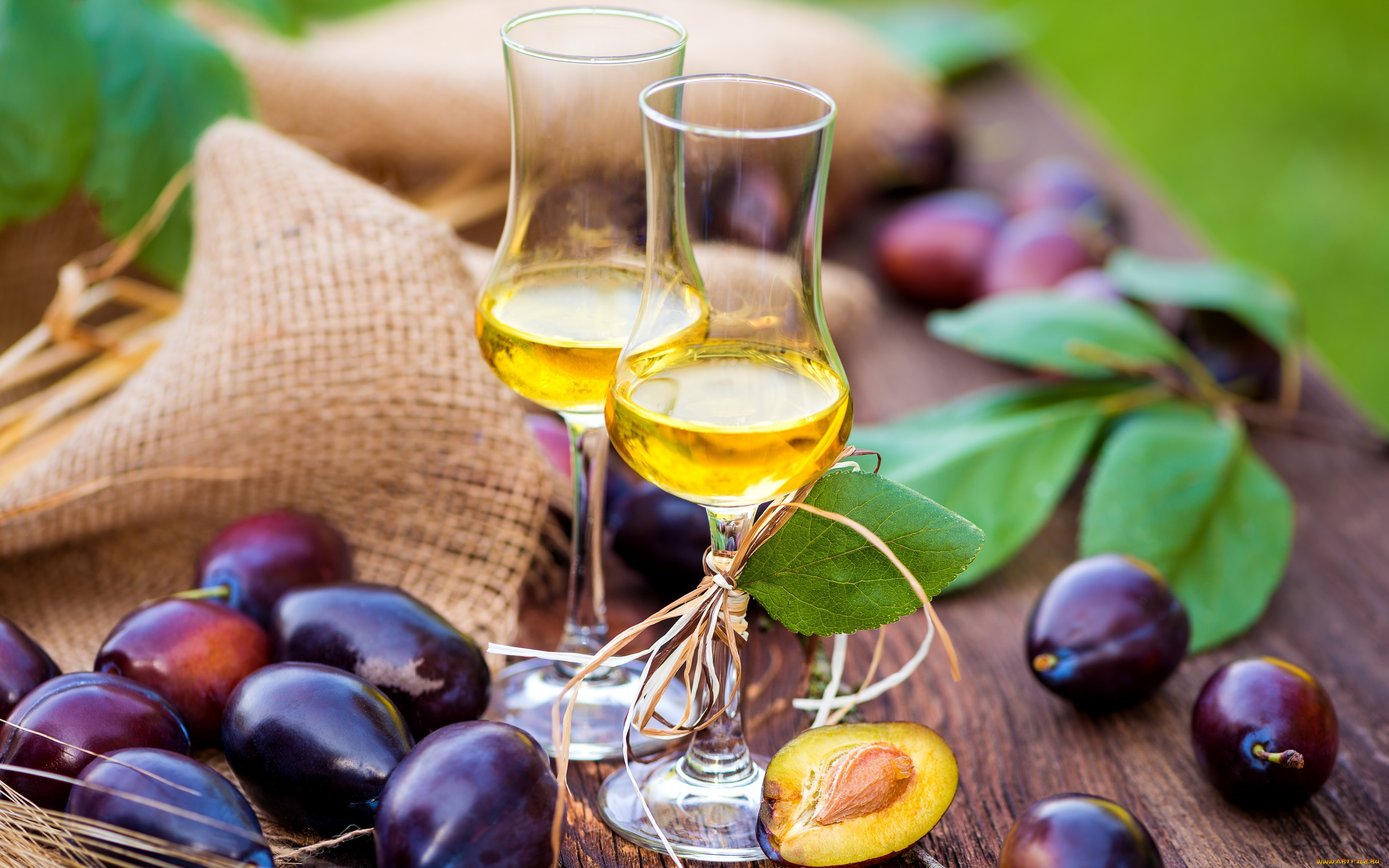 , ,  , plum, wine, , , 